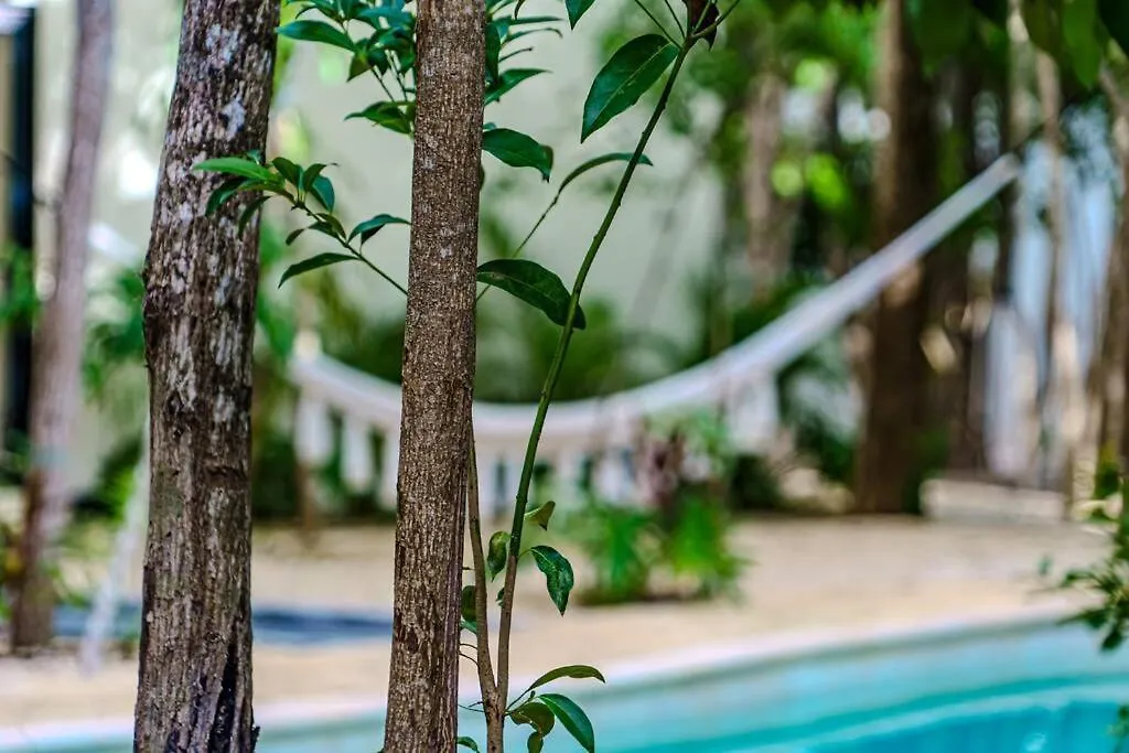 Private Pool & Bedroom Paradise Tulum Mexiko